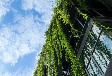 Новости членов Совета: CBRE бьёт рекорды по сертификации коммерческих объектов Москвы